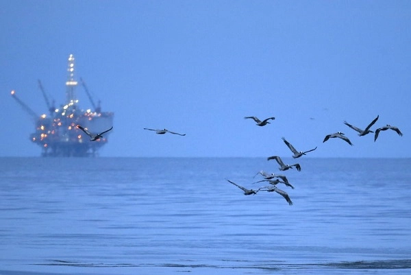 Oil Offshore Drilling