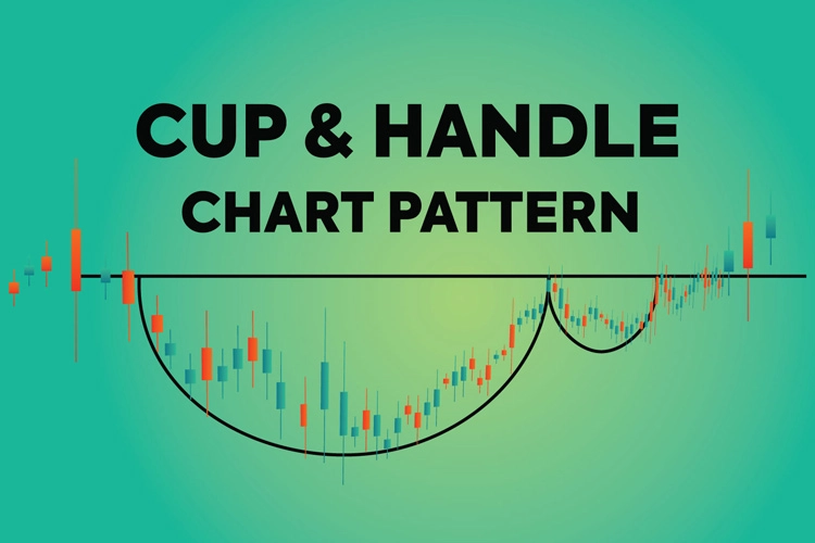 pola cup and handle