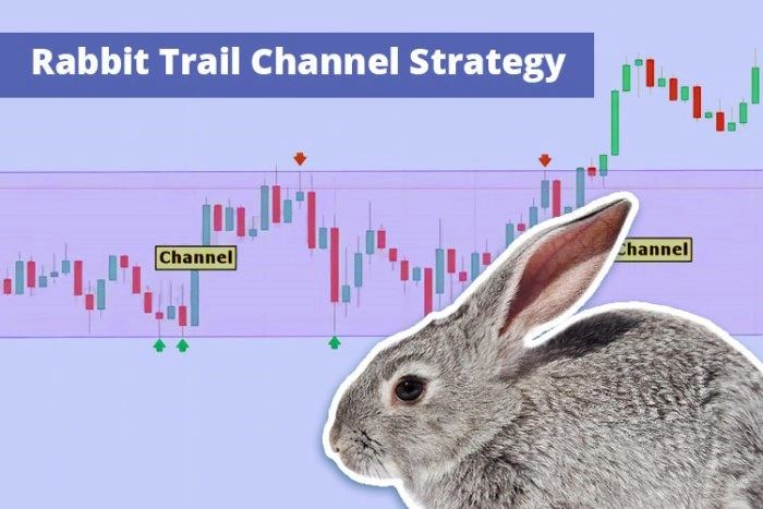 Strategi Trading Rabbit Trail Channel